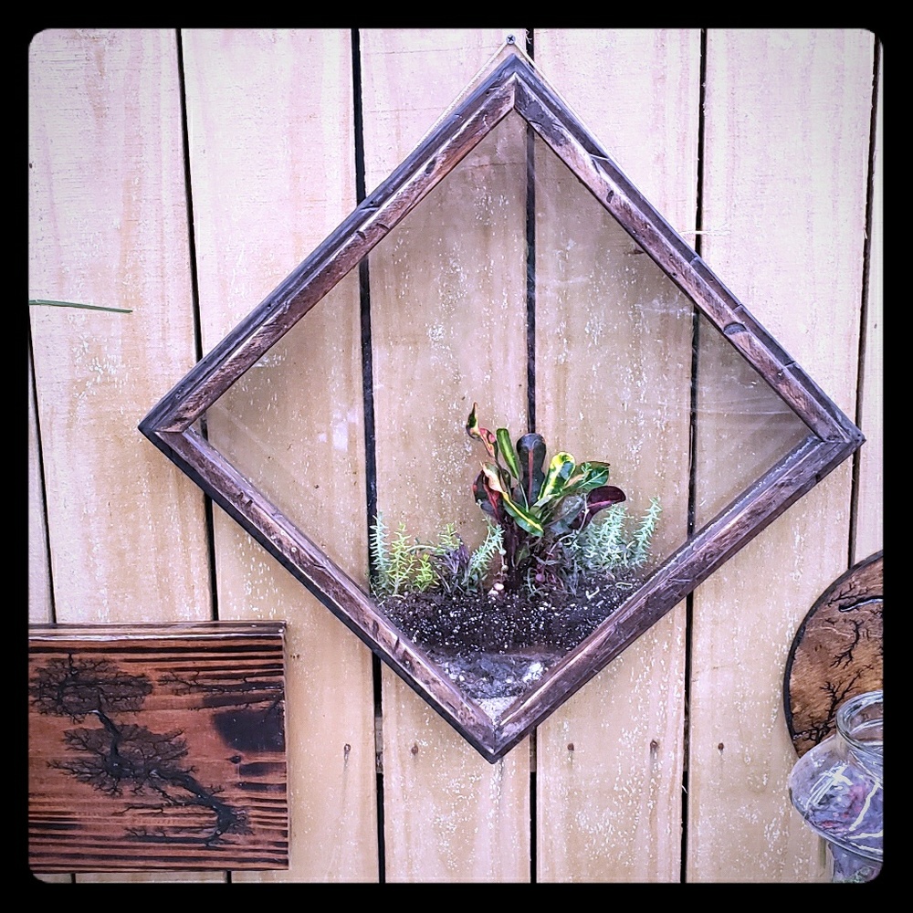 Handmade wall hanging terrarium